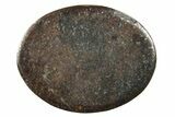 Stony Chondrite Cabochon ( g) - Meteorite #238187-1